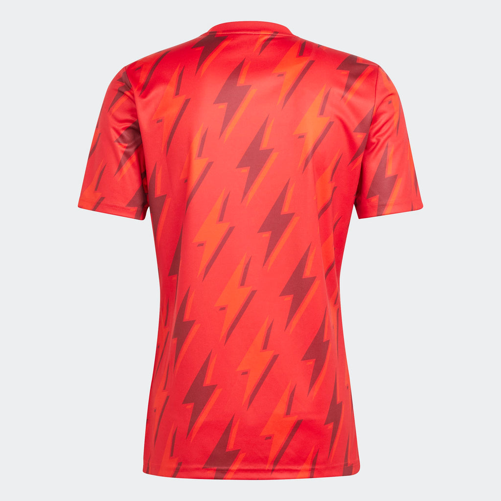 adidas Arsenal Pre-Match Jersey